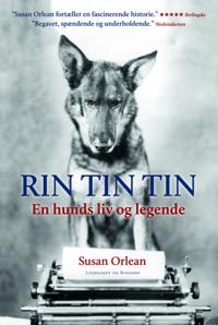 Rin Tin Tin