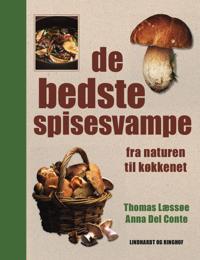 De bedste spisesvampe