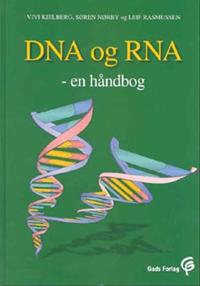 DNA og RNA