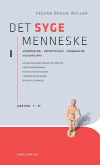 Det syge menneske-Kapitel 1-11