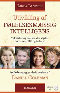 Udvikling af følelsesmæssig intelligens