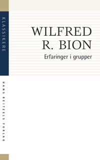 Erfaringer i grupper og andre artikler