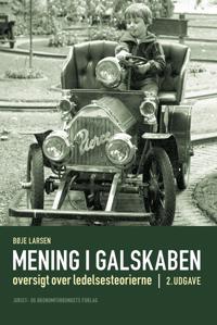 Mening i galskaben