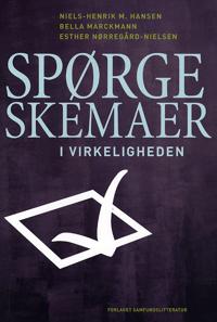 Spørgeskemaer i virkeligheden