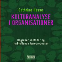 Kulturanalyse i organisationer