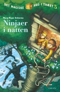 Ninjaer i natten