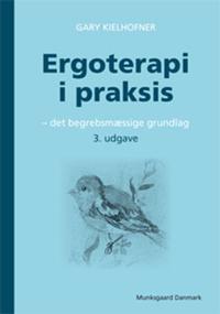 Ergoterapi i praksis