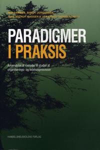 Paradigmer i praksis