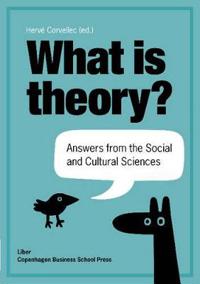 What is Theory?