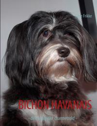 BICHON HAVANAIS