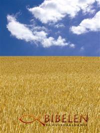 Bibelen på hverdagsdansk