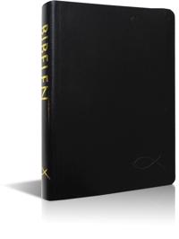 Bibelen på hverdagsdansk