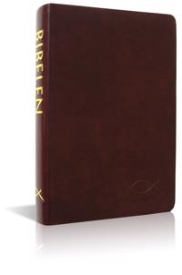 Bibelen på hverdagsdansk