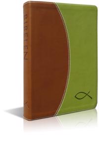 Bibelen på hverdagsdansk