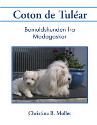 Coton de Tuléar