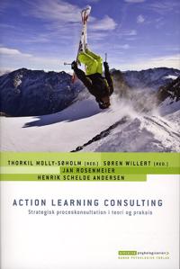 Action learning consulting