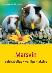 Marsvin