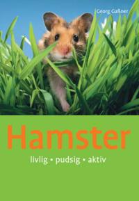 Hamster