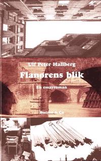 Flanørens blik