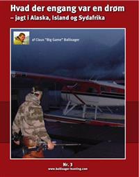 Hvad der engang var en drøm