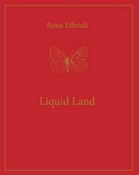 Liquid Land