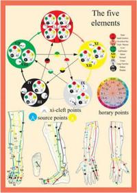 Five Elements in Acupuncture - A4
