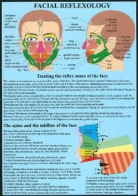 Facial Reflexology