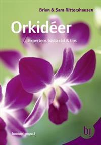 Orkidéer : expertens bästa råd och tips