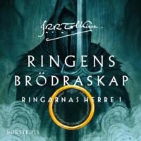 Ringens brödraskap - Ringarnas herre