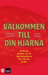 Välkommen till din hjärna : varför du glömmer var du lagt bilnycklarna men inte hur du kör