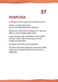 Vilda husdjur faktakort