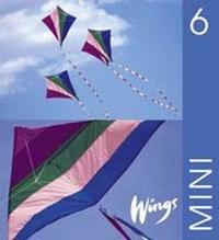 Wings Mini. 6, Elevbok