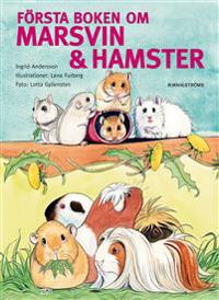 Första boken om marsvin & hamster