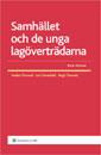 Samhället och de unga lagöverträdarna