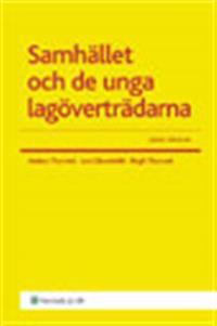 Samhället och de unga lagöverträdarna