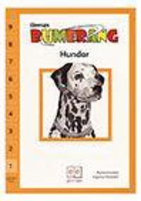 Bumerang småböcker Fakta Läsnivå 1, 4-pack