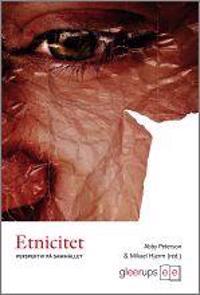 Etnicitet : Perspektiv på samhället