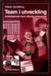 Team i utveckling: kvalitetsutveckling inom offentlig verksamhet