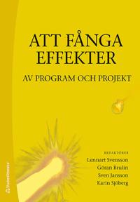 Att fånga effekter : av program och projekt