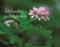 Älskade pelargoner: En samlares anteckningar