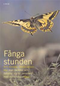 Fånga stunden: Hur man bemöter och förhåller sig till personer med demenshandikapp