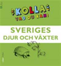 Kolla vad du kan Sveriges djur och växter