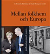 Mellan Folkhem och Europa: - svensk politik i brytningstid