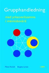 Grupphandledning med yrkesverksamma i människovård