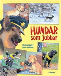 Hundar som jobbar