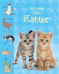 Lilla boken om katter