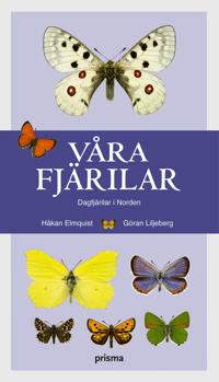 Våra fjärilar : dagfjärilar i Norden