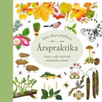 Årspraktika : natur, seder och bruk månad för månad