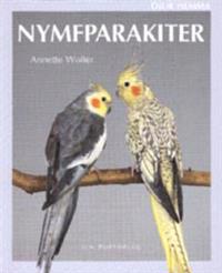 Nymfparakiter