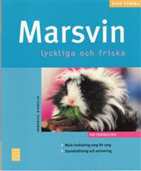 Marsvin